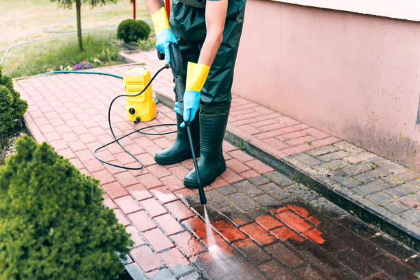 Animal Enclosure Cleaning in Hartford, AL